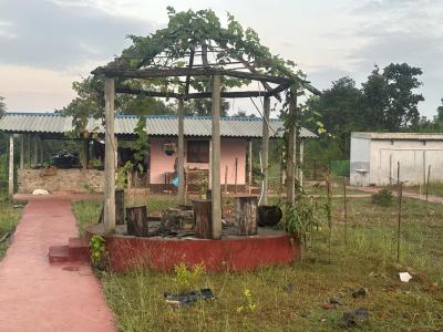 Bhalu Dungri Eco Stay Photo - 22