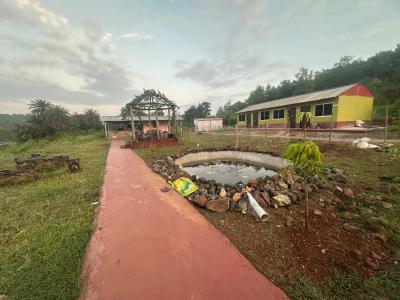 Bhalu Dungri Eco Stay Photo - 29