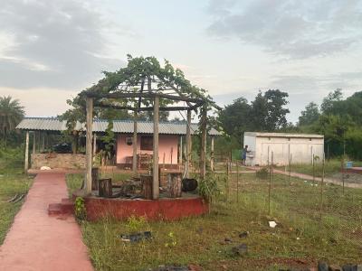 Bhalu Dungri Eco Stay Photo - 30